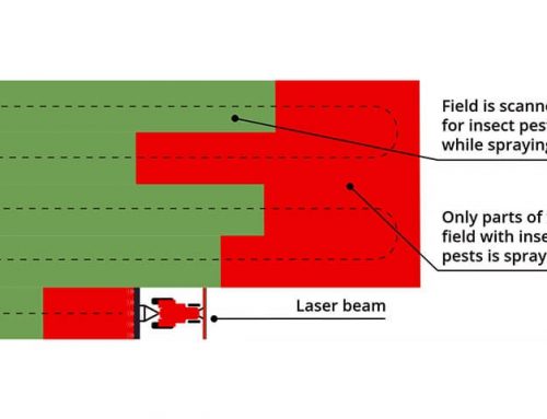 Insect Monitoring: Using Light to Detect Insects